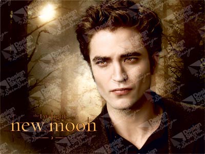 Twilight New Moon Design-Folie Edward