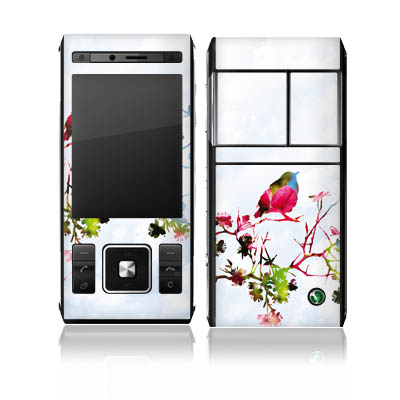 Folien Skins Handy Sony Ericsson C905i Design Cover Schutz
